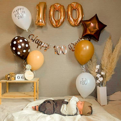 【特集掲載】男の子♥ベビークラウン＆スタイセット ハーフバースデー お食い初め 1歳 誕生日 出産祝い 100日 7枚目の画像