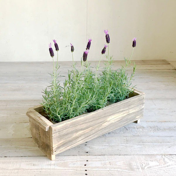 リサイクルウッド☆プランターボックス L その他家具 cafemoku