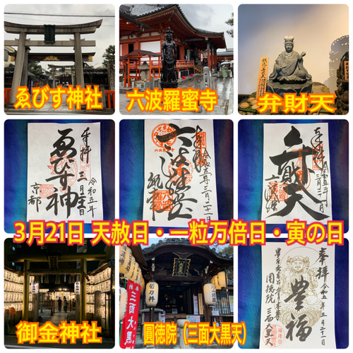 レア 希少 マムシ 切らず一匹 白蛇 頭部 しっぽ お守り 純金 札 大帯