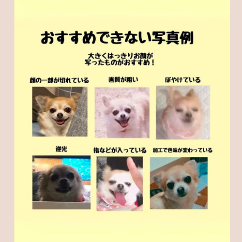 世界に一つだけ　うちの子トートバッグ 世界に一つだけ うちの子トートバッグ トートバッグ ペット