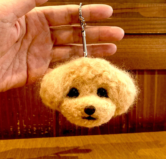 BonBon☆Sucre羊毛フェルトキット材料追加購入 キット ☆羊毛フェルト