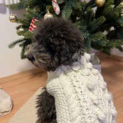 【再販4】小型犬用アラン編みセーター｢オフホワイト･生命の木｣ 5枚目の画像