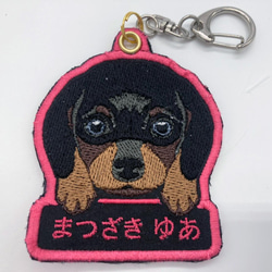 ネコちゃん　ワンちゃん　犬猫　キーホルダー　刺しゅうワッペン　ネームワッペン　アイロン　オリジナルハンドメイド品 13 1枚目の画像