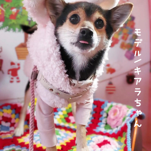 犬服♪手編み♪　専用です　カシミヤうさみみペアロンパース(M&Lサイズ) かわいい犬の手編み服 SS、S、M、L、LL | ミカ*ユカ(Dog Paws