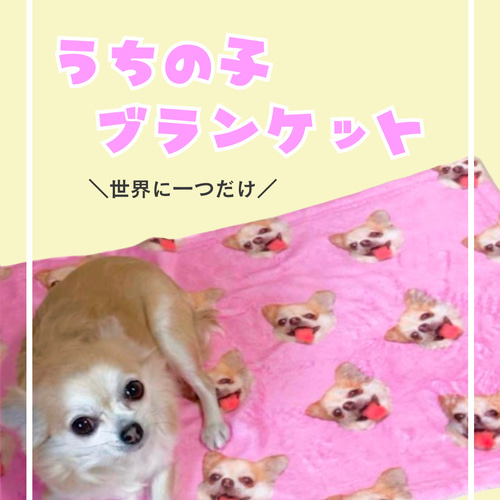 世界に一つだけ　うちの子ブランケット 世界に一つだけ うちの子ブランケット その他インテリア雑貨