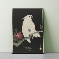 【NO.320】白いオウムと柘榴の日本画アートポスター鳥和柄☆和モダンお正月昭和レトロ和室インテリアB4B3B2A2A1 1枚目の画像