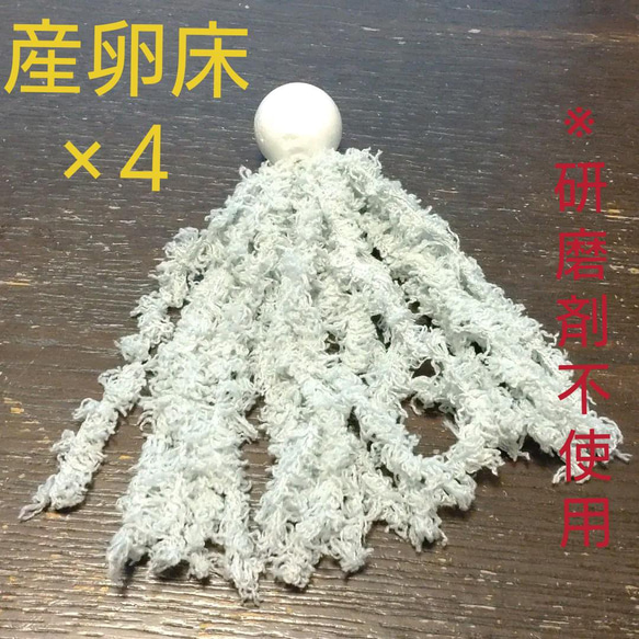  第5張的照片