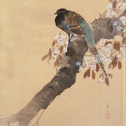【NO.321】雉と桜の花鳥図の日本画アートポスター和柄☆お正月鳥和モダン和室インテリア雑貨A4A3A2A1B4B3B2 2枚目の画像