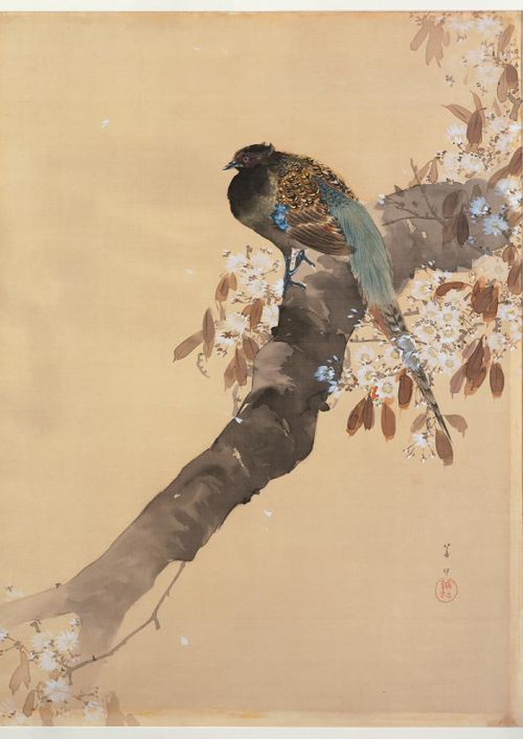 【NO.321】雉と桜の花鳥図の日本画アートポスター和柄☆お正月鳥和モダン和室インテリア雑貨A4A3A2A1B4B3B2 2枚目の画像