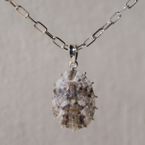 マツバガイのネックレス②270BSDC4 ネックレス・ペンダント yasuyama