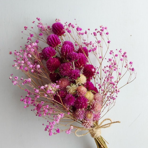 千日紅のドライフラワー（ﾋﾟﾝｸ） ドライフラワー nyao-mery 通販