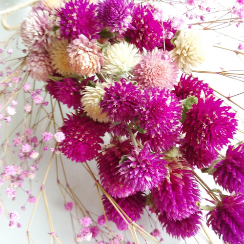 千日紅のドライフラワー（ﾋﾟﾝｸ） ドライフラワー nyao-mery 通販