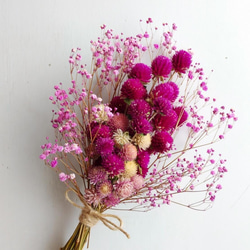 チガヤとカワラハハコのベビーピンク色フライングリース　ドライフラワー　千日紅 チガヤとカワラハハコのベビーピンク色フライングリース ドライ