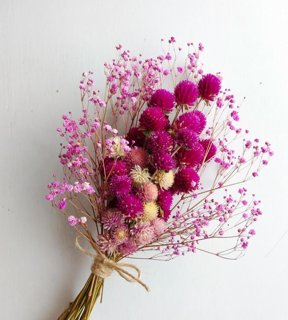 千日紅のドライフラワー（ﾋﾟﾝｸ） ドライフラワー nyao-mery 通販