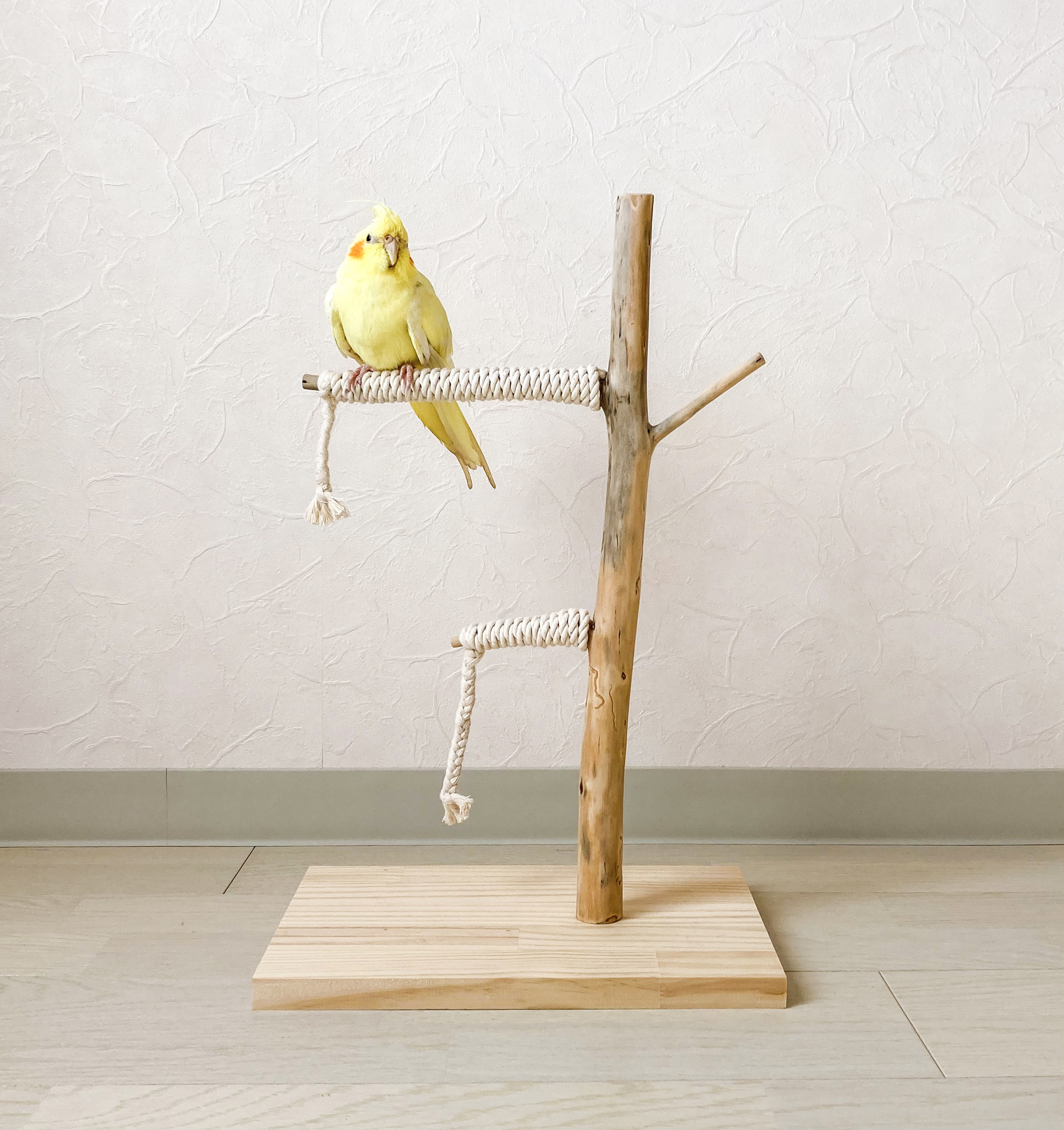 【流木止まり木】鳥 インコ 可愛いサイズ感の止まり木！ おもちゃ 