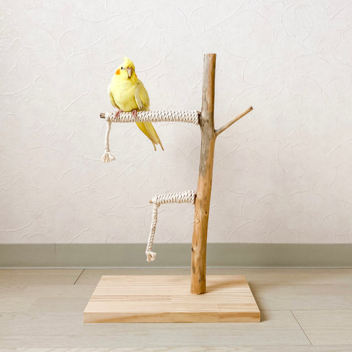 流木止まり木】鳥 インコ 可愛いサイズ感の止まり木！ おもちゃ
