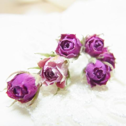 ミニバラ 極小 ドライフラワー ピンク その他素材 フィンヌ 通販