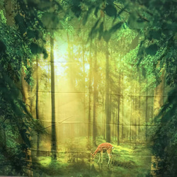 金具付きタペストリー㊷森　バンビ　森林浴　鹿　癒し　ナチュラル　壁掛け 3枚目の画像