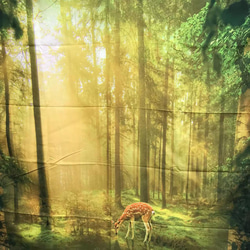 金具付きタペストリー㊷森　バンビ　森林浴　鹿　癒し　ナチュラル　壁掛け 2枚目の画像