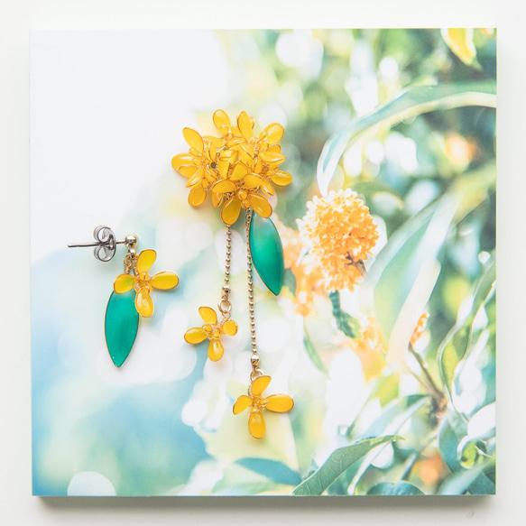 [Kinmokusei -Full * Bloom-] 裝飾秋天的耳環 * 用照片面板裝飾！ 第1張的照片