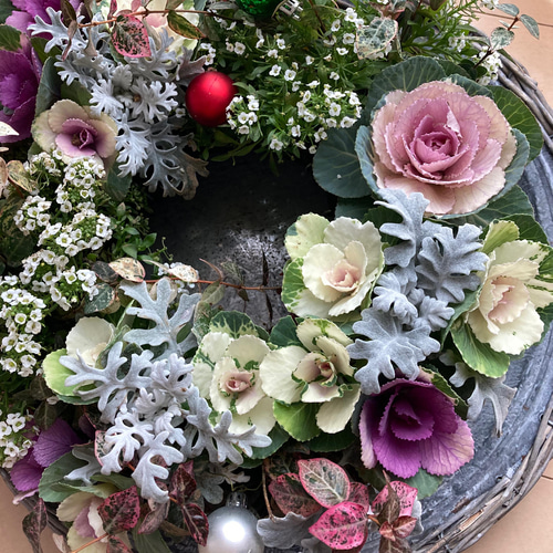 葉牡丹とアリッサムリース形寄せ植え＊* その他インテリア雑貨