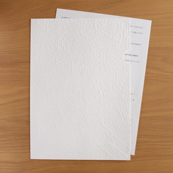 和紙 High-quality paper clear file A4サイズ2枚入り 3枚目の画像