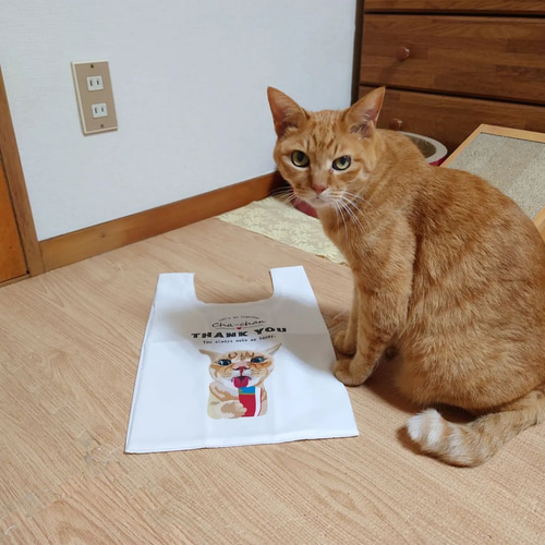 選べる3点セット♪写真から作るペットオーダーメイド雑貨☆全19種類