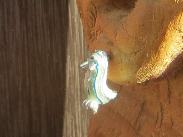ミゾレウミウシのピアス　片耳 5枚目の画像