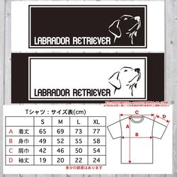 送料無料 ラブラドール ラブ レトリバー 子犬 成犬 老犬 大型犬 BOX 2枚目の画像