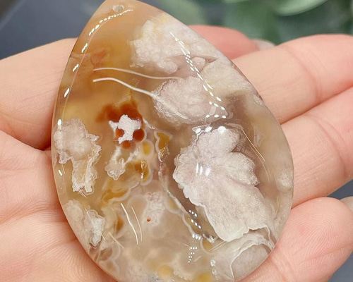 85aa74f3e954873c8f397d767e6a79