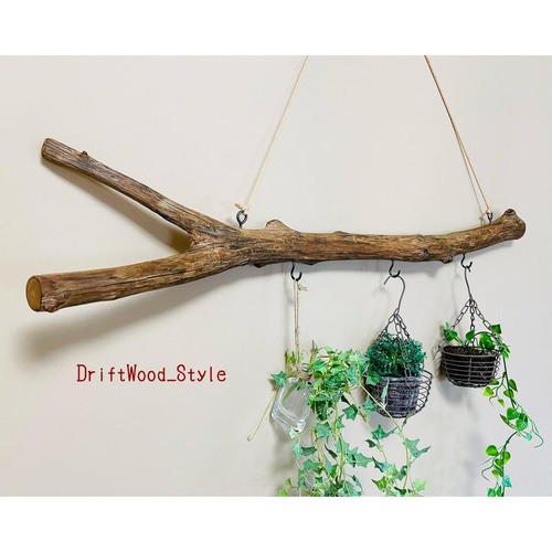 流木インテリアハンガーno.51