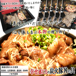 ⭐究極の炭火豚丼の具【ぎゃん丼】10食(１パック２食×５)【手作り無添加】ギフト、贈り物にもオススメです。 1枚目の画像