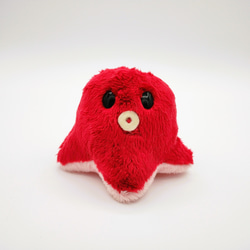 0f8cb97dc2214462c172ba182fb908