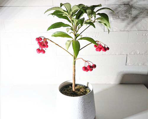 57be3bc0100e48e62a6361f60fb7c8