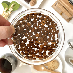 珈琲豆のお皿（コーヒー豆・全面） 2枚目の画像