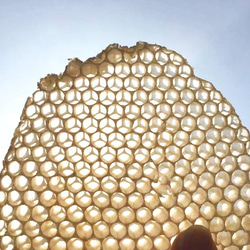 蜂蠟包裝]〜由無添加劑和有機材料製成的可重複使用的生態包裝（Hayikamu Wrap/Aoi Iomoi）〜 第8張的照片