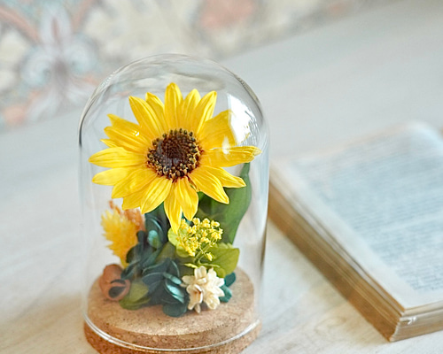 完成品】プリザーブドフラワー・ひまわりガラスドームS / 誕生