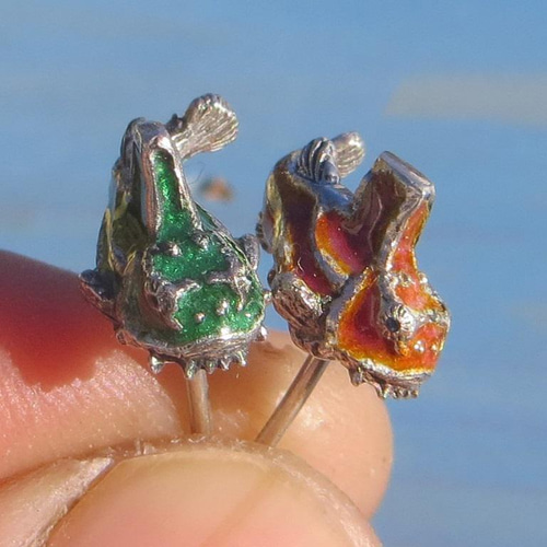 ダンゴウオ ペア