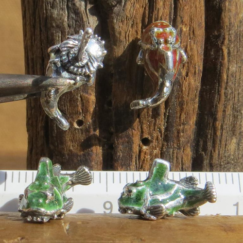 ダンゴウオ ペア