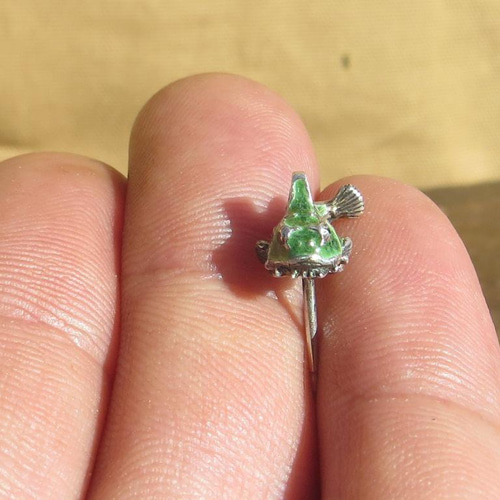 ダンゴウオ ペア