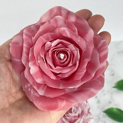 アンリマチス(薔薇) 7枚目の画像