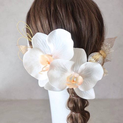 金箔・水引追加◎】胡蝶蘭とドライフラワーの髪飾り/ヘアアクセサリー 