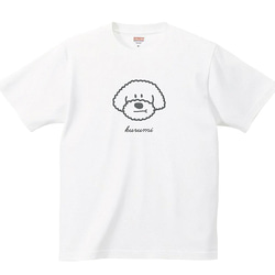 【名入れ】 トイプードル Tシャツ 男の子 プリント 印刷 グッズ イラストレーター オリジナル オーダー 犬 1枚目の画像