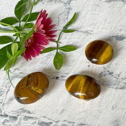 再販】ｲﾝｶﾛｰｽﾞ/ﾛｰﾄﾞｸﾛｻｲﾄ ❖菱満俺鉱(ﾘｮｳﾏﾝｶﾞﾝｺｳ)の帯留め✤専用Box