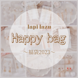 〜Happybag〜 福袋 5点set《ピアス/イヤリング》 1枚目の画像