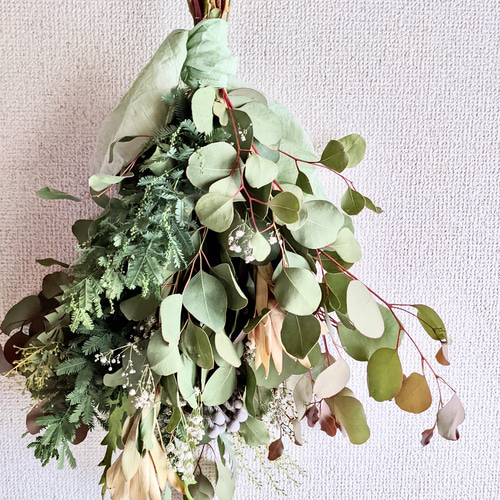 ユーカリポポラスとリューカデンドロン、ミモザのグリーンなドライ