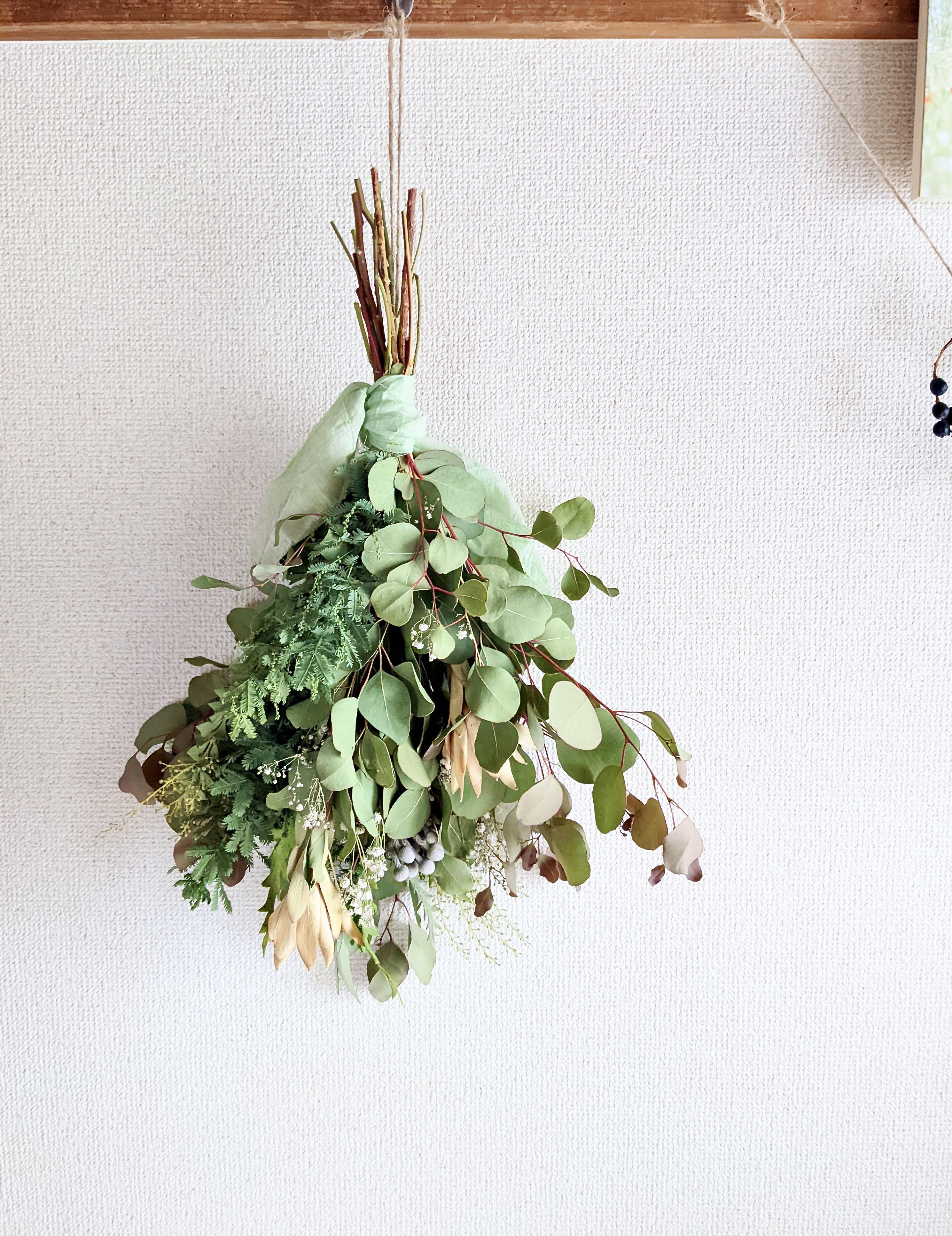 ユーカリポポラスとリューカデンドロン、ミモザのグリーンなドライ