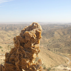 絲絨豐滿手拿包（沙漠之花4號） 第10張的照片