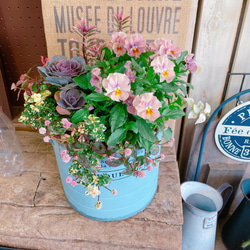 パステルカラーのオシドリの絵植木鉢の中古品アンティークコレクション装飾植物K パステルカラーのオシドリの絵植木鉢の中古品アンティーク