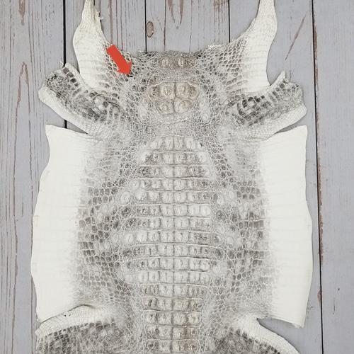 ナイルクロコ 引き締まっ ワニ革 ヒマラヤ 1枚革 ハンドメイド 